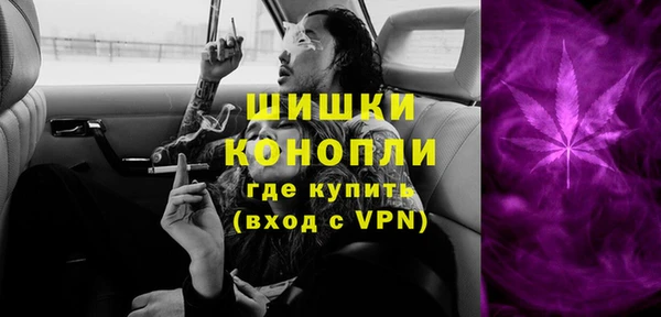 шишки Алексин