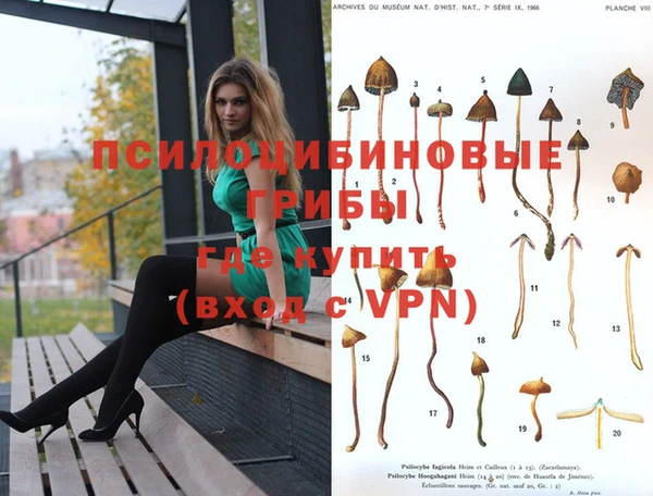 шишки Алексин