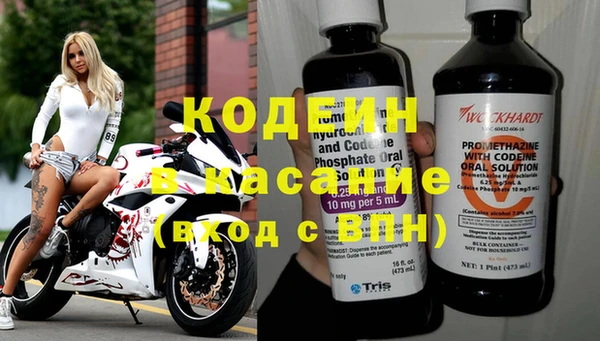 шишки Алексин