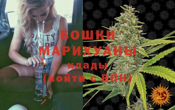 шишки Алексин