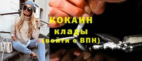 хмурый Алзамай