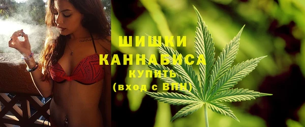 шишки Алексин