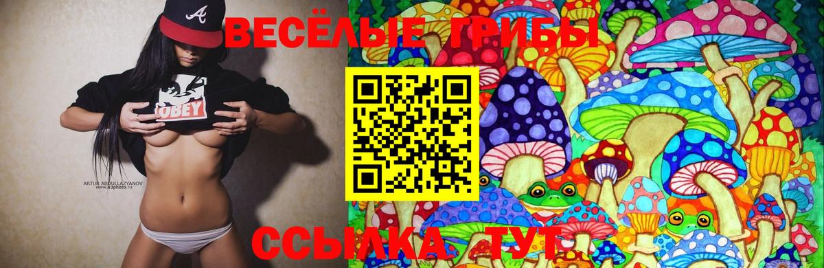 Псилоцибиновые грибы Magic Shrooms Кулебаки