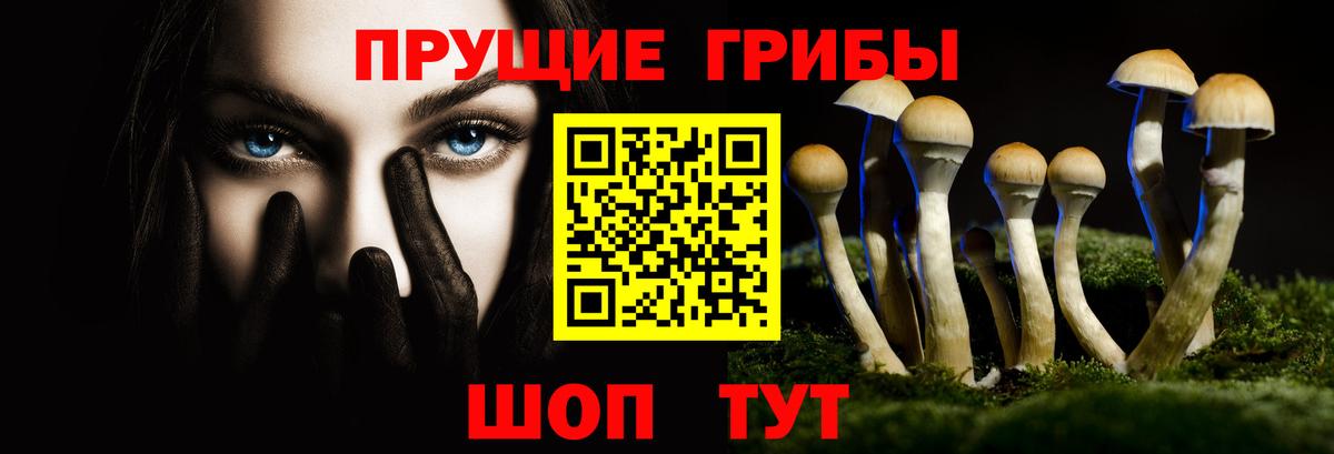 Псилоцибиновые грибы Cubensis  Вход с VPN  купить закладку  Кулебаки 