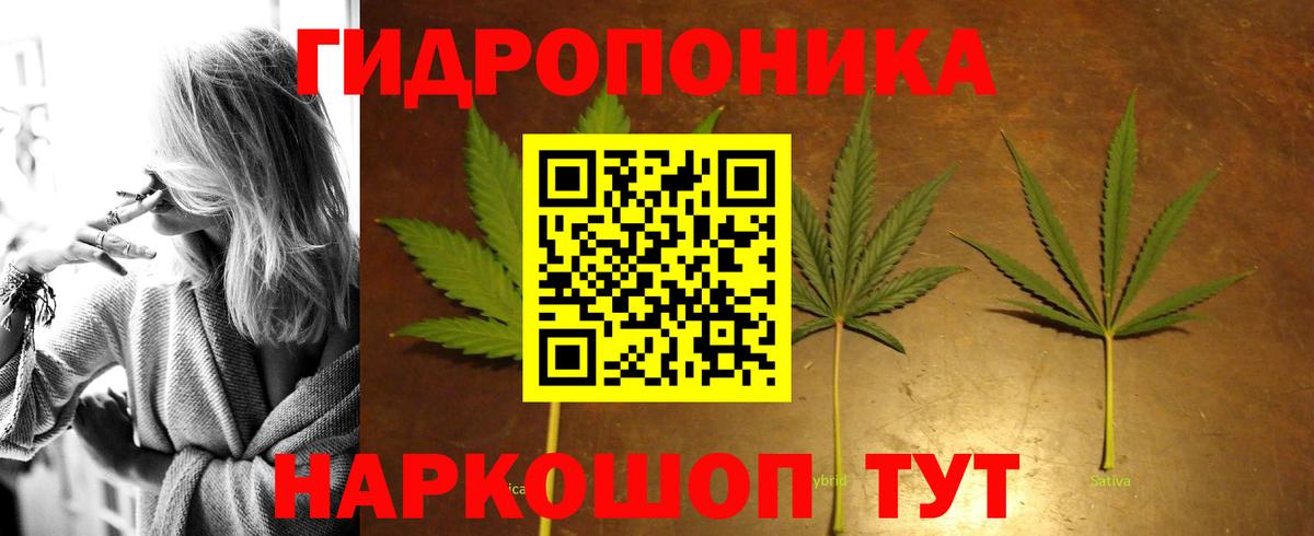 Каннабис MAZAR Кулебаки